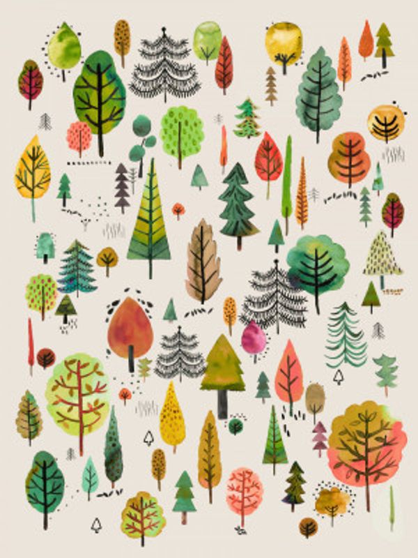 Colorful Park Trees Orange Green