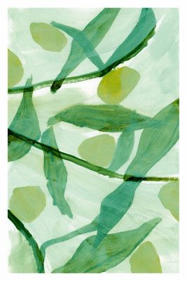 Color Pop Botanicals