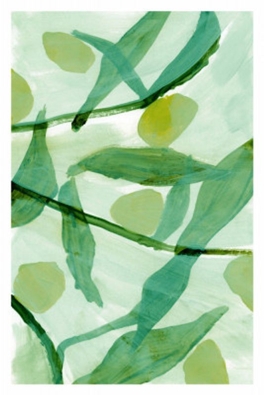 Color Pop Botanicals