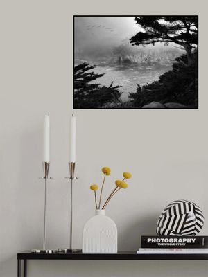 Foggy Morning Central Coast