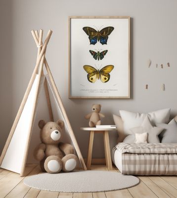 Different Types of Butterflies III