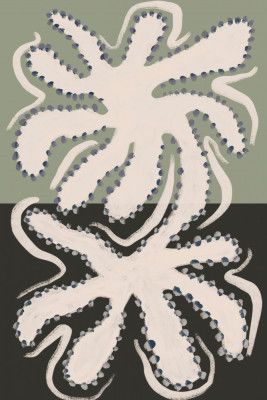 Reflected Octopus Forms