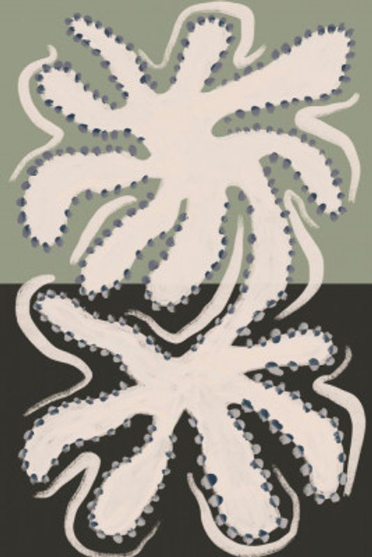 Reflected Octopus Forms