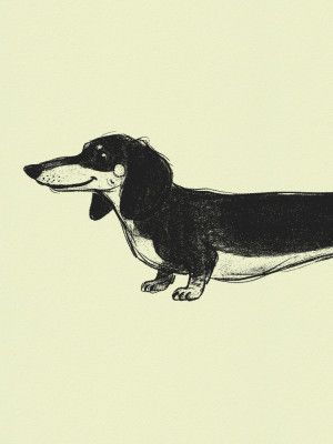 Dachshund 1 Green