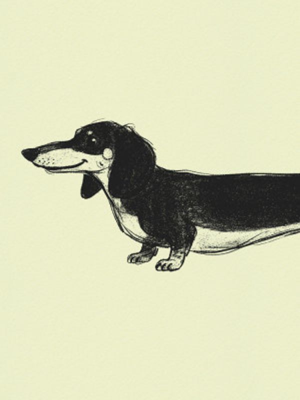 Dachshund 1 Green