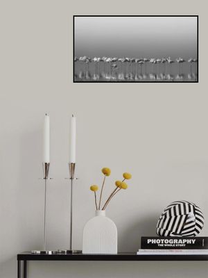 Comrades at cleaning time