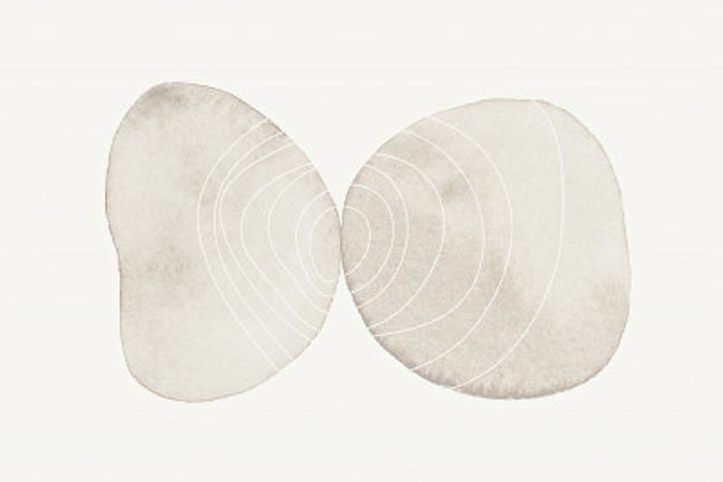 Symmetrical Organic Patterns