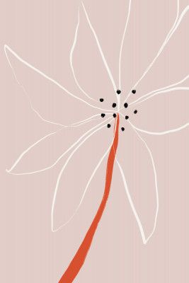 Delicate Abstract Flower with White Petals