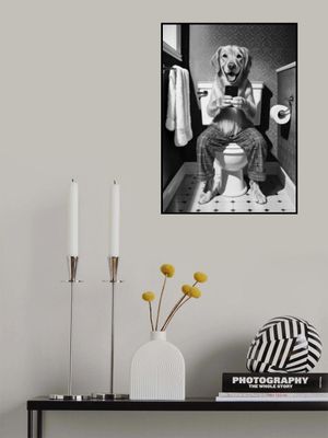 Bathroom Golden Retriever