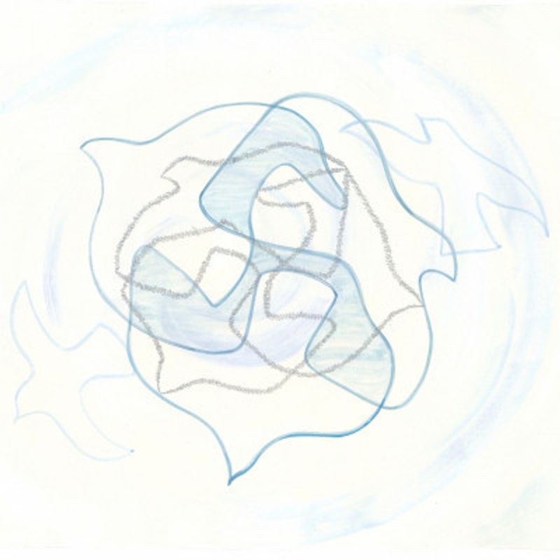 Flock of Birds In Flight Square