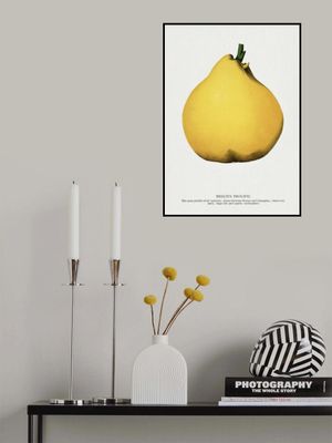 Meech's Prolific Pear Lithograph