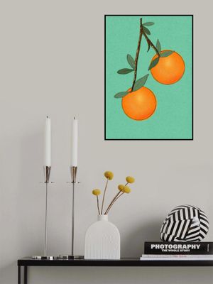 Oranges Fruit with Leaves