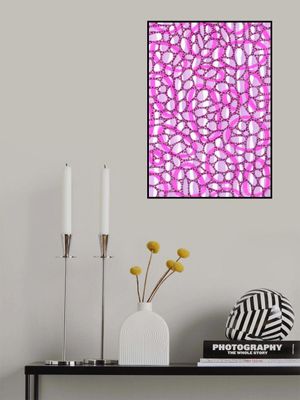 Vibrant Pink Shapes