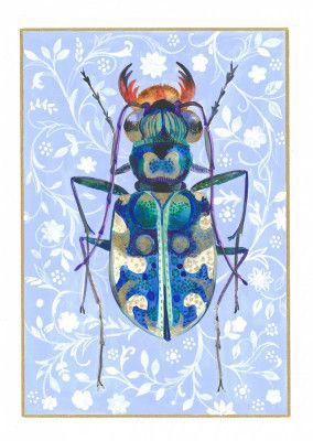 Blue Insect