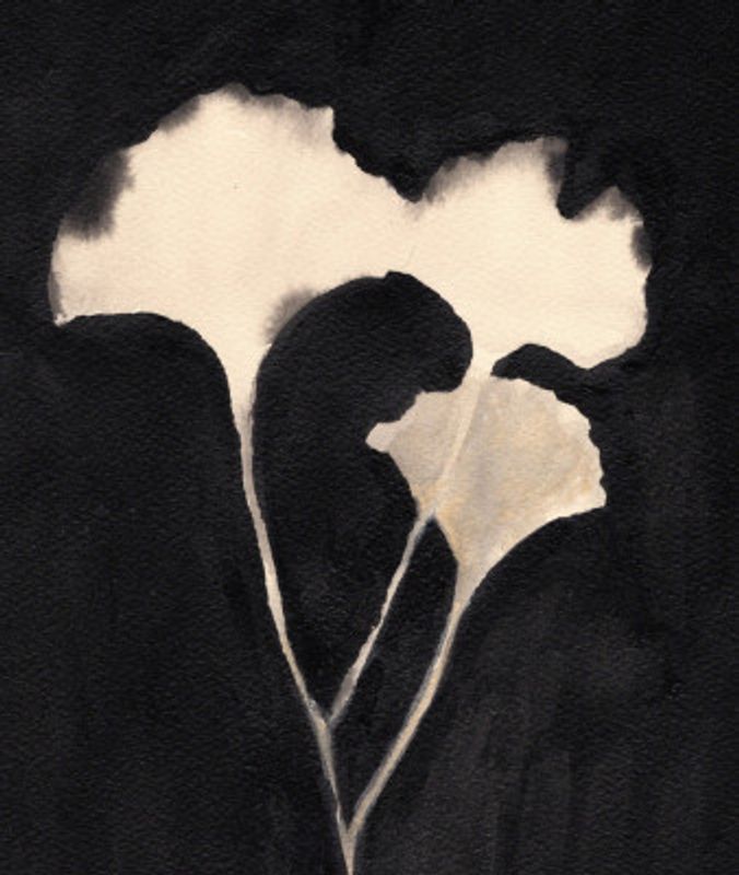 Ginkgo Leaves Pair II