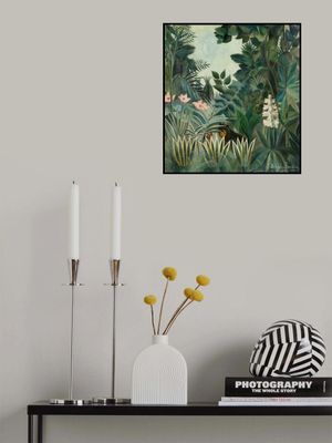 The Equatorial Jungle