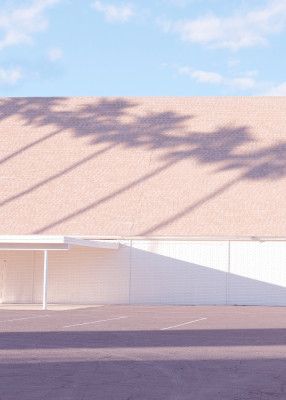 Las Vegas Chapel Palm Shadows