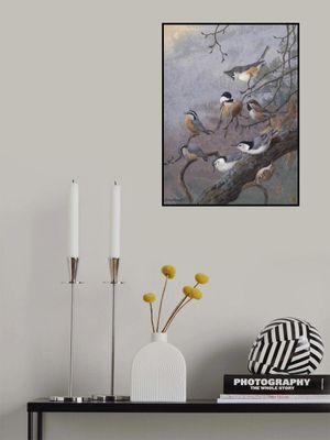 Bird Mix By Allan Brooks