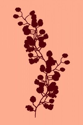 Floral Silhouette 2