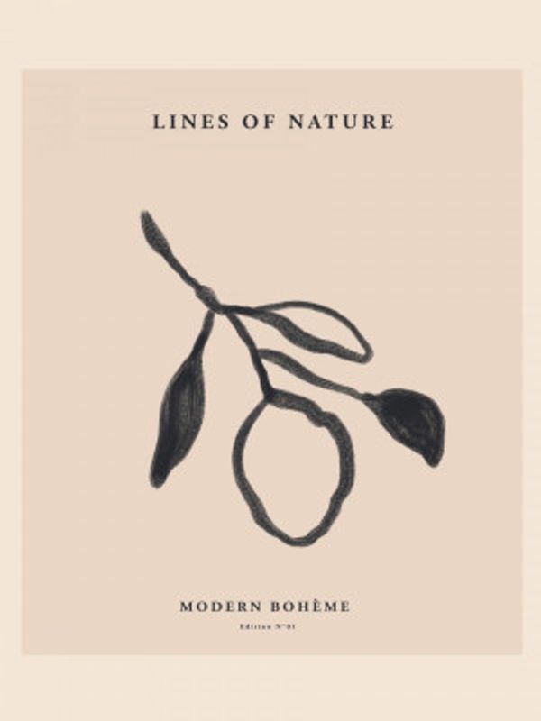 Elegant Nature Sketch