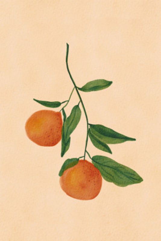 Orangesbranch