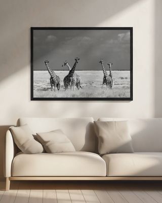 Look Girl Strange Animals