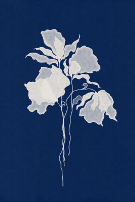 Delicate White Flower