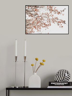 Under the Tree Fagus