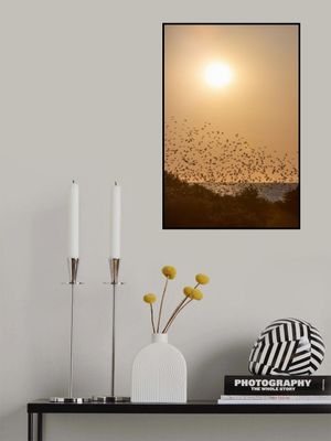 Summer Evening at the Beach