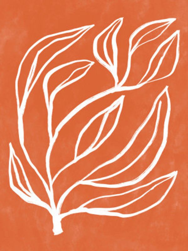 White Botanical Flow