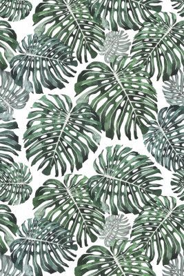 016844 Tropical Monstera Leaves