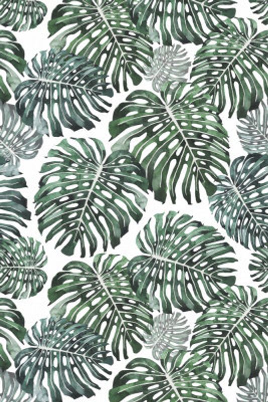 016844 Tropical Monstera Leaves