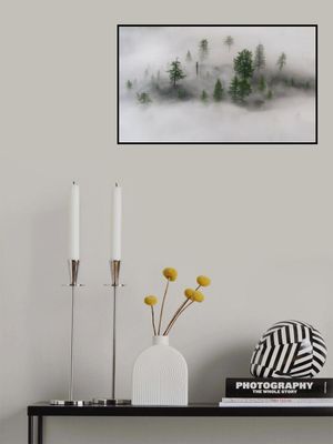 Mystical tree island