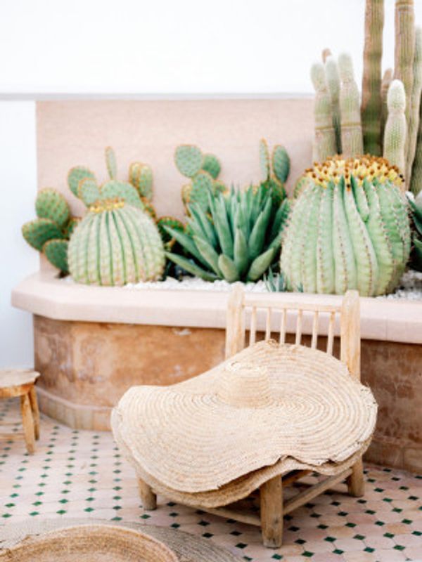 Details of Marrakech | Morocco Travel Photography