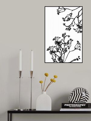 Blossom Trees Silhouette