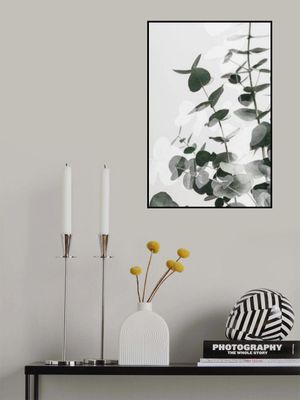 Eucalyptus Creative 03