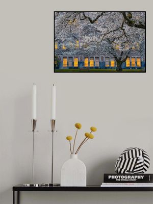 Morning at University of Washington