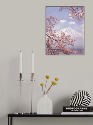 Mt.Fuji in the cherry blossoms