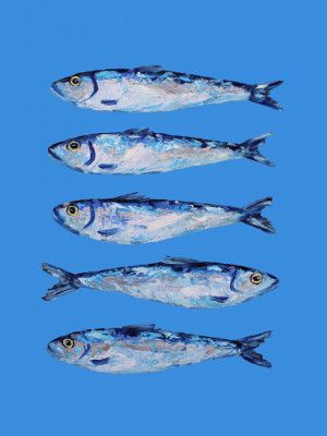 Sardines on Blue