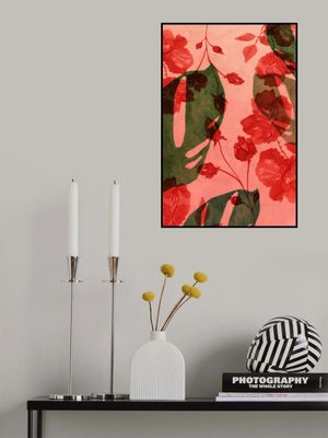 Monstera &amp; Hibiscus