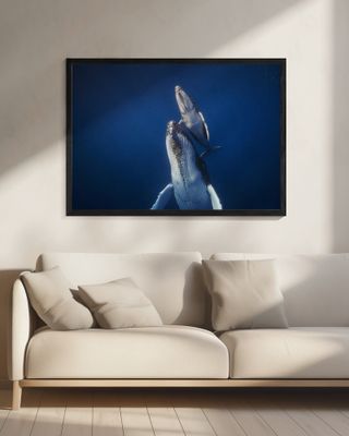 Come back to the surface