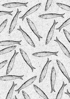 Sardine Fish Pattern