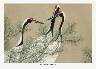 Cranes From Momoyogusa