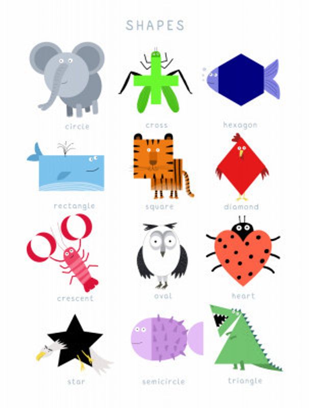 Illustrated Shapes with Fun Characters by Carla Daly