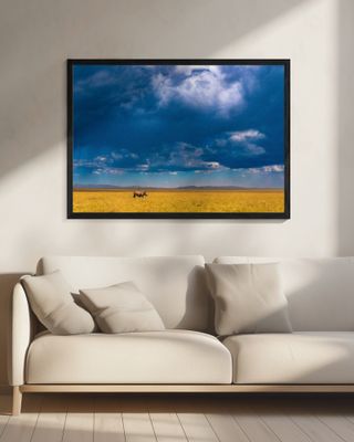 Two-horned Rhino under a cloudy sky