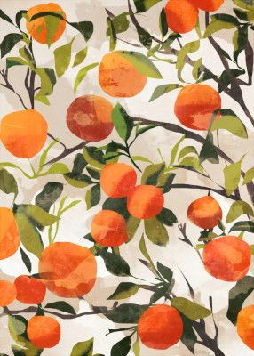 Orange Orchard Dance