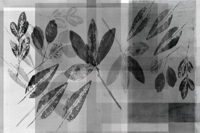 Abstract Botanicals in Neutral Tones