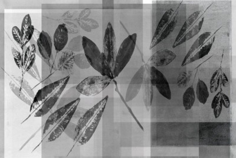 Abstract Botanicals in Neutral Tones