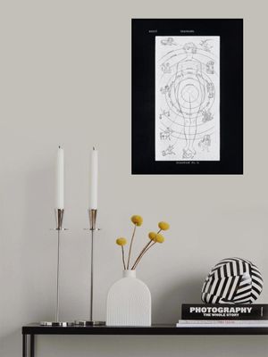 Solar Biology No. 6 Black (Creative ed)