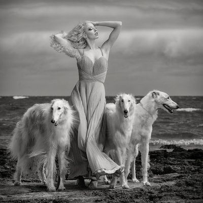 Lady with Hounds